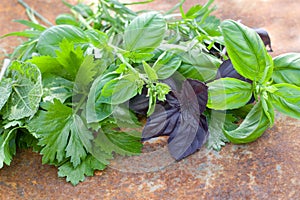 Fresh aromatic herbs