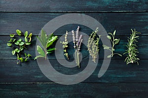 Fresh aromatic herbs, overhead flat lay shot on a dark wooden background