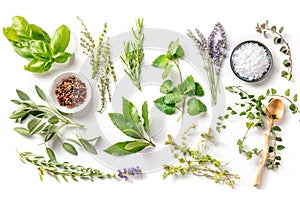 Fresh aromatic herbs, overhead flat lay shot on a white background with spices