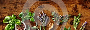 Fresh aromatic herbs panoramic banner with copy space