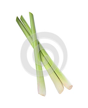 Fresh aromatic lemongrass stalks on white, top view