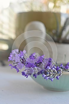 Fresh arrangement of lavender flowers