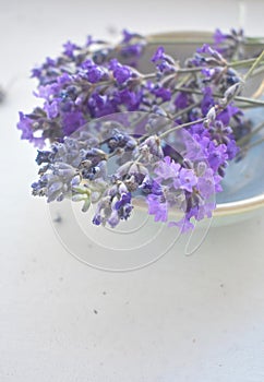 Fresh arrangement of lavender flowers