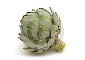 Fresh artichoke