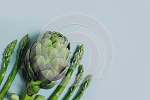 Fresh Artichoke and Asparagus on a grey background. Minimal concept