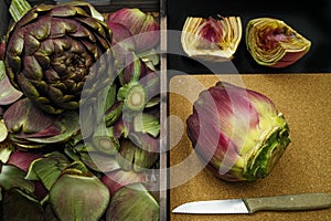 Fresh artichoke green-purple flower head, cutted