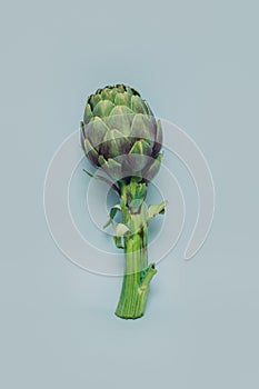 Fresh Artichoke on a grey background