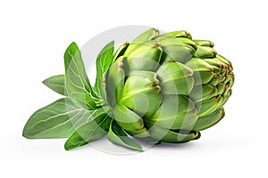 A fresh artichoke is isolated against a white background.