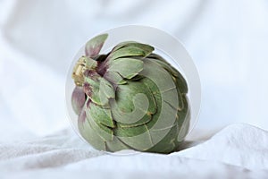 Fresh artichoke on white background. Whole green artichoke mockup. Horizontal.