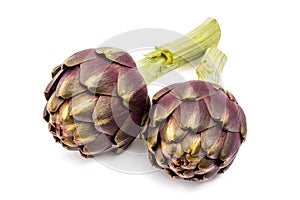 Fresh artichokes