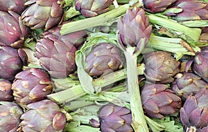 fresh artichokes also called Carciofi