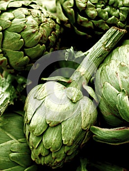 Fresh Artichokes Background