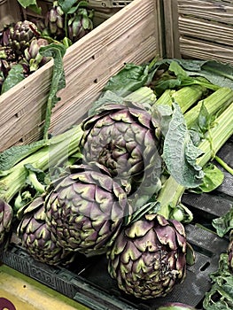 Fresh artichokes in a box.