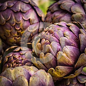 fresh artichokes at farmers market