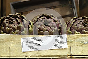 3 fresh artichokes green-purple flower head, on wooden background