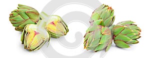 Fresh Artichokes and half isolated on white background closeup