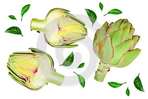 Fresh Artichokes and half isolated on white background closeup. Top view. Flat lay,