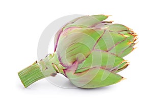 Fresh Artichokes isolated on white background closeup