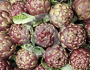 Fresh artichokes for sale at vegetable market 4