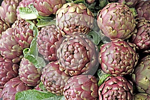 Fresh artichokes for sale at vegetable market 5