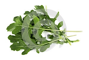 Fresh arugula leaves on white background