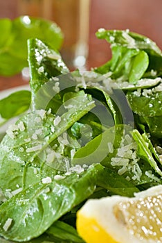 Fresh arugula salad