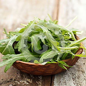 Fresh arugula salad photo