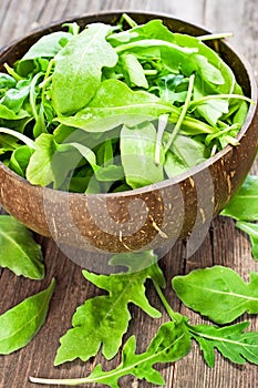 Fresh arugula salad photo