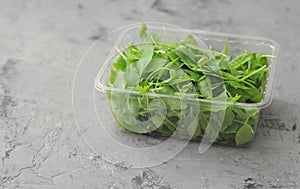 Fresh arugula on stone background