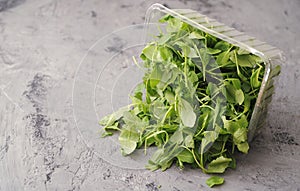 Fresh arugula on stone background