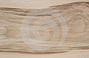 Ash tree wood texture