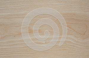 Ash tree wood texture