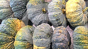 Fresh pumkins