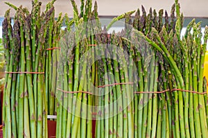 Fresh asparagus