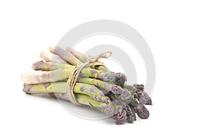 Fresh Asparagus Bunch