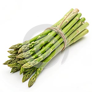 Fresh asparagus bundle