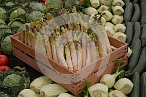 Fresh Asparagus And Fennel