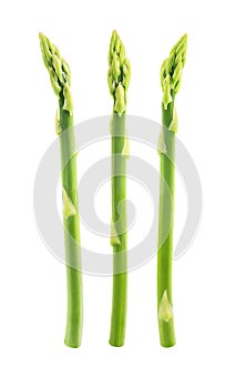 Fresh asparagus isolated on white