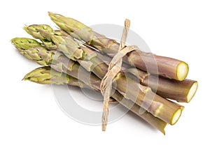 Fresh asparagus isolated on white background, Purple asparagus food ingredients.