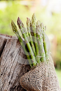 Fresh asparagus photo