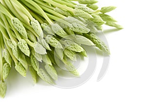 Fresh Asparagus Spears on White Background