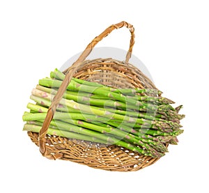 Fresh asparagus stalks in old wicker basket