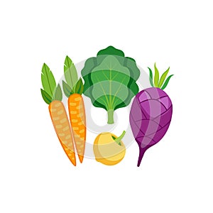 Fresh assorted root vegetables vector illustration on white background