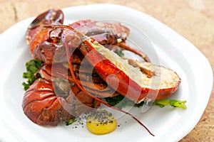 Fresh Atlantic Lobster