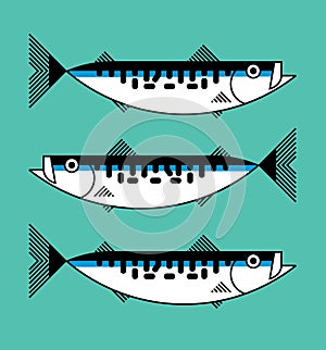 Fresh atlantic mackerel sea fish isolated, icon, graphic symbol, seafood packaging concept, hand hrawn vector