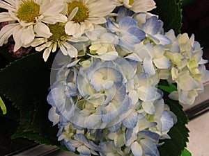 Fresh and attractive mixed bouquet flowers from the florist
