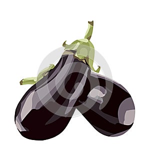 Fresh aubergine eggplant. Ripe organic vegetable, vegetarian healthy food, flat style, icon, graphic symbol, farm market