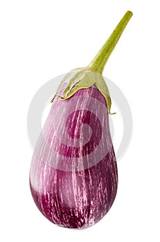 Fresh aubergine isolated on white background. Clipping path