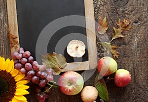 Fresh autumn fruit and sunflower