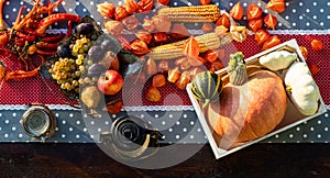 fresh autumn fruits and vegetables thanksgiving